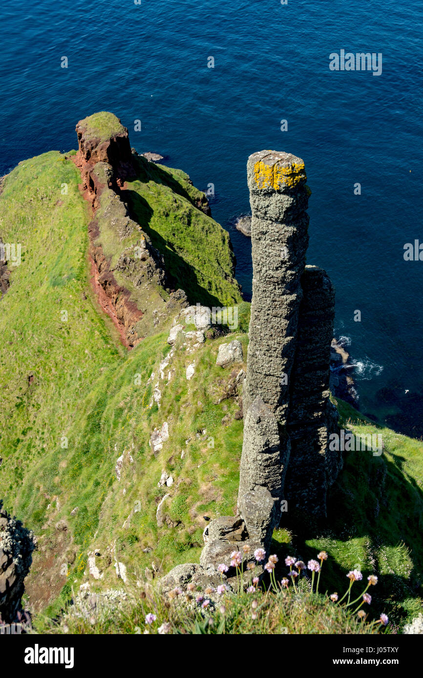 Basaltsäulen, bekannt als "The Giant Schornsteine" in der Nähe von Port-Na Spaniagh, von der Causeway-Küste Wanderweg, County Antrim, Nordirland, Vereinigtes Königreich Stockfoto