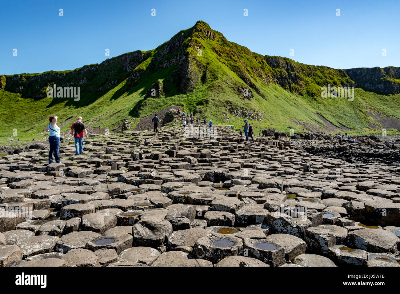 Aird Schnauze und die großen Damm der Giant es Causeway, Causeway-Küste, County Antrim, Nordirland, Vereinigtes Königreich Stockfoto