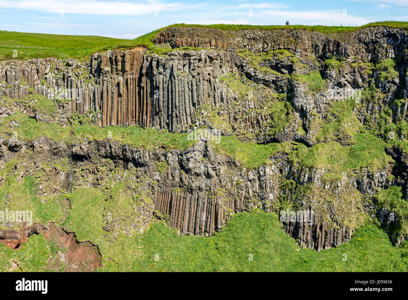 Basaltsäulen in den Klippen in der Nähe von Giant es Causeway, von der Causeway-Küste Wanderweg, County Antrim, Nordirland, Vereinigtes Königreich Stockfoto