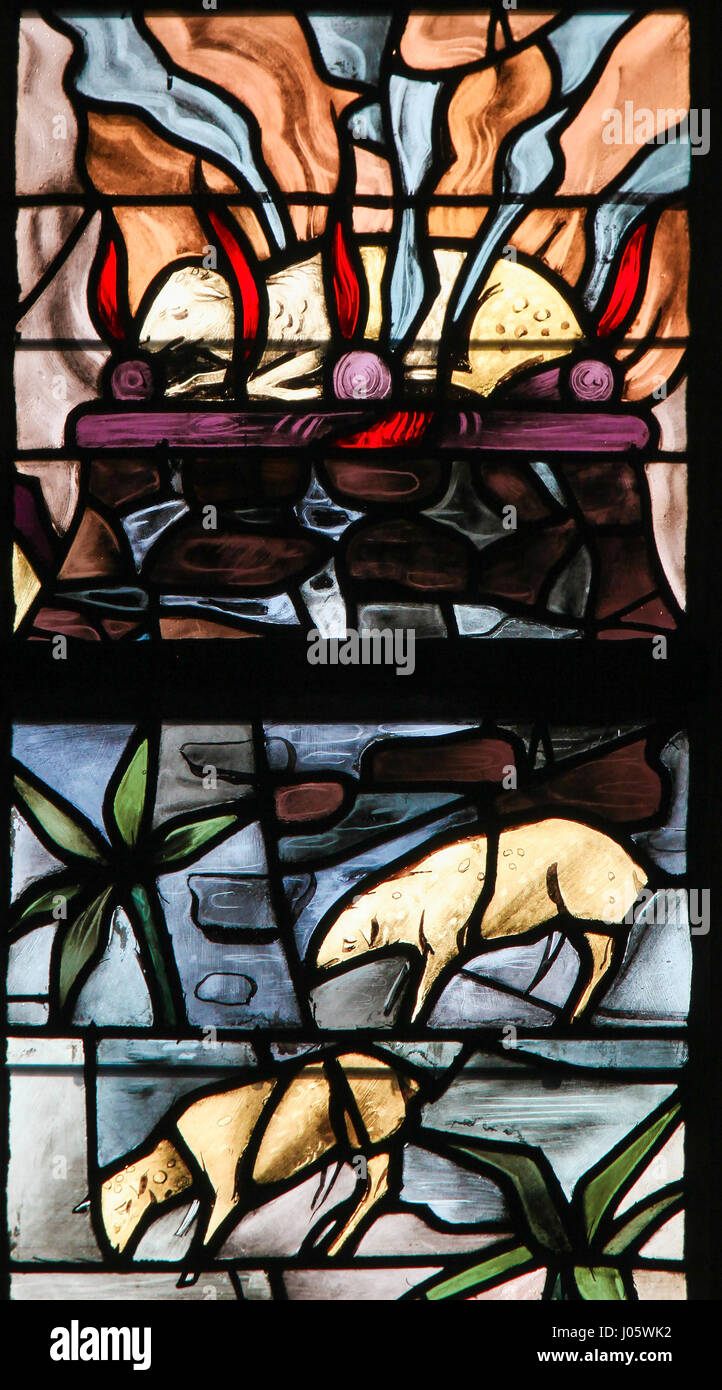 Glasfenster in der Kirche von Tervuren, Belgien, Darstellung eines brennenden Lamm symbolisiert das Agnus Dei Stockfoto
