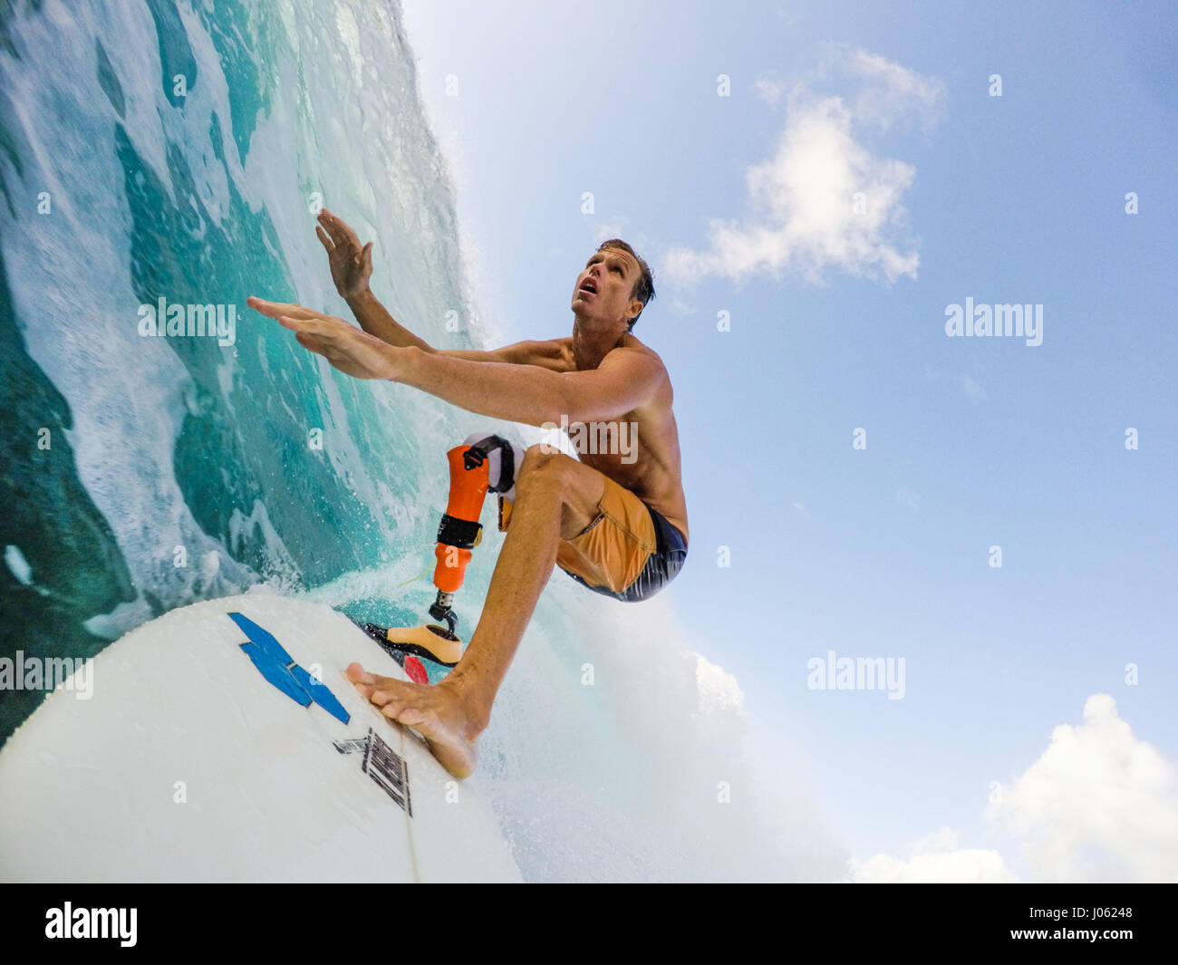 SEHEN Sie die erstaunlichen Moment kam ein Amputierte Surfer von Angesicht zu Angesicht ein Tigerhai zum ersten Mal da man ihm sein rechtes Bein beraubt. Unglaubliche Bilder und video-Show Mike Blässhühner, 37, mit Tauchen und Tigerhaie streicheln, als er gebietet, vor dem schrecklichen Angriff vor neunzehn Jahren weiterzugehen. Weitere atemberaubenden Aufnahmen zeigen Mike Surfen mit einer Prothese, während Mike ein paar Bilder zeigen wie er sich von den schrecklichen Vorfall erholte. Stockfoto