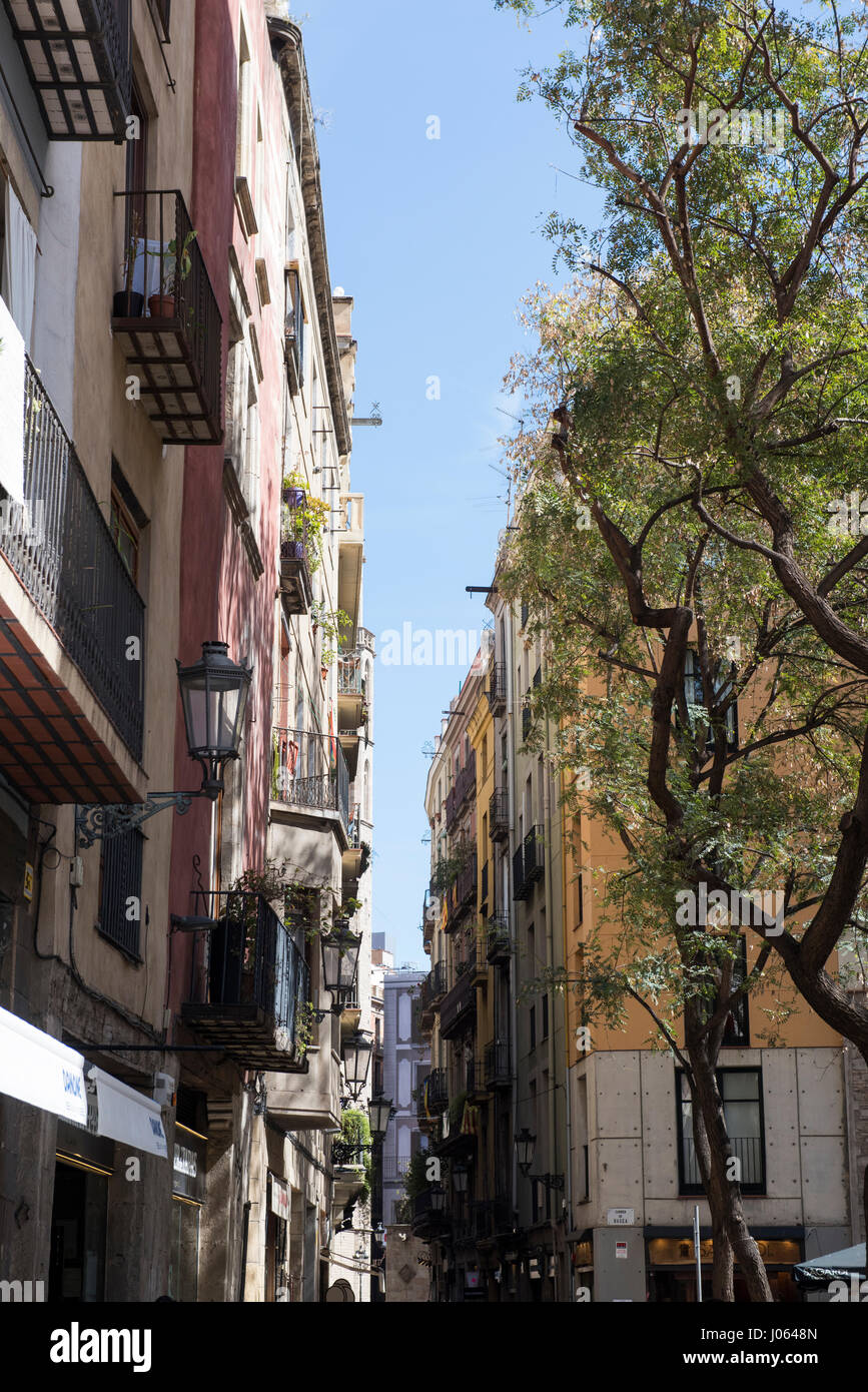 Straße von der Basilika Santa Maria del Mar in der Ribera-Viertel von Barcelona, Spanien-Europa-EU Stockfoto