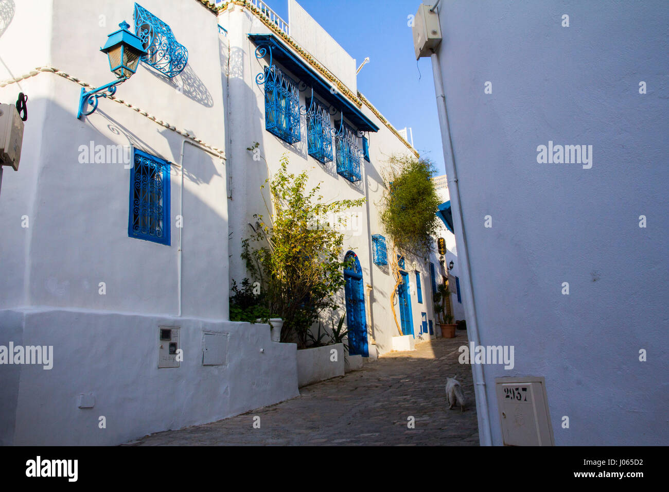 Ganz in weiß mit blau trim, die maurische (oder möglicherweise griechischen) inspiriert Hügel Stadt Sidi Bou Said ist eine Künstlerkolonie und beliebten touristischen verfolgen einfach keine Stockfoto