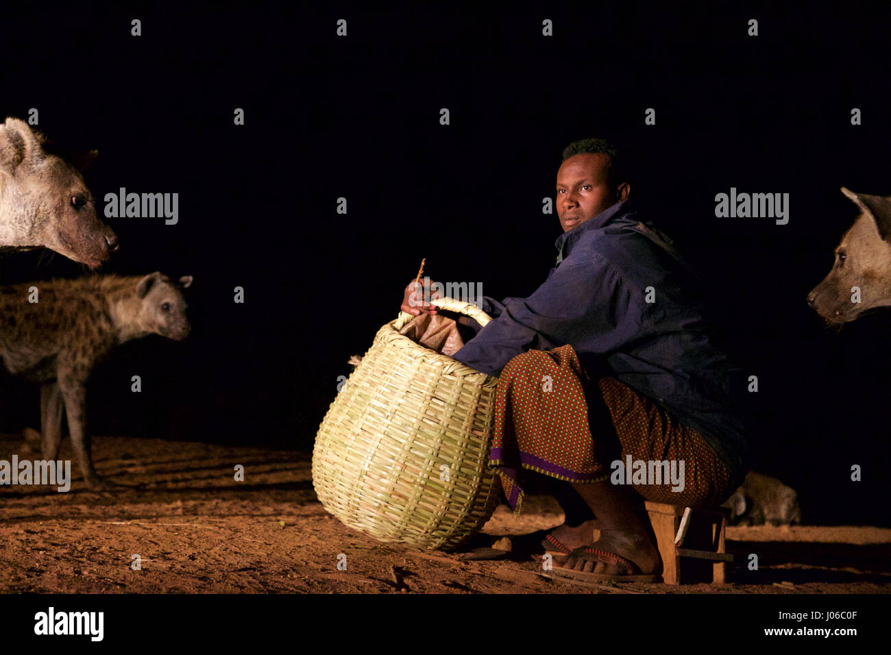 HARAR, Äthiopien: Neue 'Hyäne Man' Abbas Saleh Zubereitung von Speisen für seine Hyäne Freunde. Treffen Sie die unglaubliche Hyäne Mann von Harar, die nun seinen Titel auf seinen Sohn nach dreißig Jahren, am besten mit Freunden einen Clan dieser fleischfressende Tiere vorbei ist. Bilder zeigen einen jungen Erben die Hyäne Mann Titel nach der jahrhundertealten Tradition seines Volkes vor möglichen Angriffen durch Hyänen ruhig füttern diese wilden Radikalfänger schützen. Er ist völlig frei von jeglicher Art von Angst Sie assoziieren würde, wobei dies in der Nähe Afrikas produktivsten Fleischfresser.  Hyänen sind dafür bekannt, Angriff und kil Stockfoto