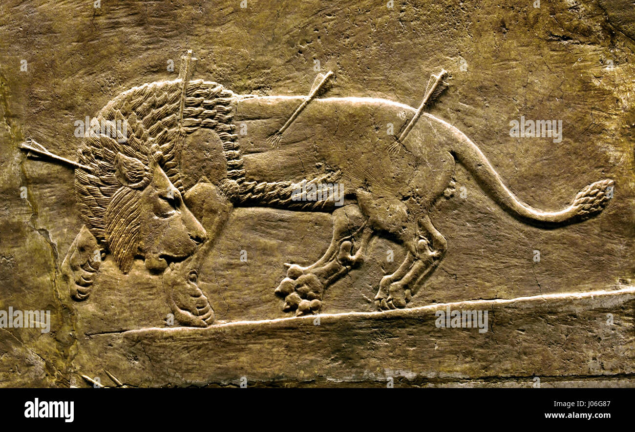 Die königliche Löwen jagen König Assurbanipals aus Nord-Palast von Ninive 645-635 v. Chr. Mesopotamien Irak Assyrien (König Assurbanipal oder Ashshurbanipal, Sohn von Esarhaddon und der letzte starke König des neuassyrischen Reiches (934 – 609 v. Chr.) Details Stockfoto