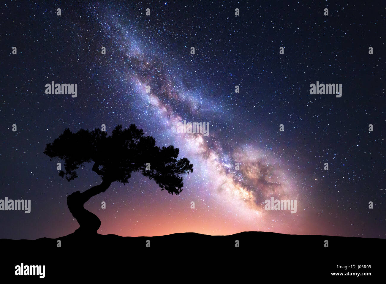 Milky Way mit allein krummen Baum auf dem Hügel. Bunte Nachtlandschaft mit hellen Milchstraße, Sternenhimmel und Hügeln im Sommer. Weltraum Hintergrund. Wunder Stockfoto