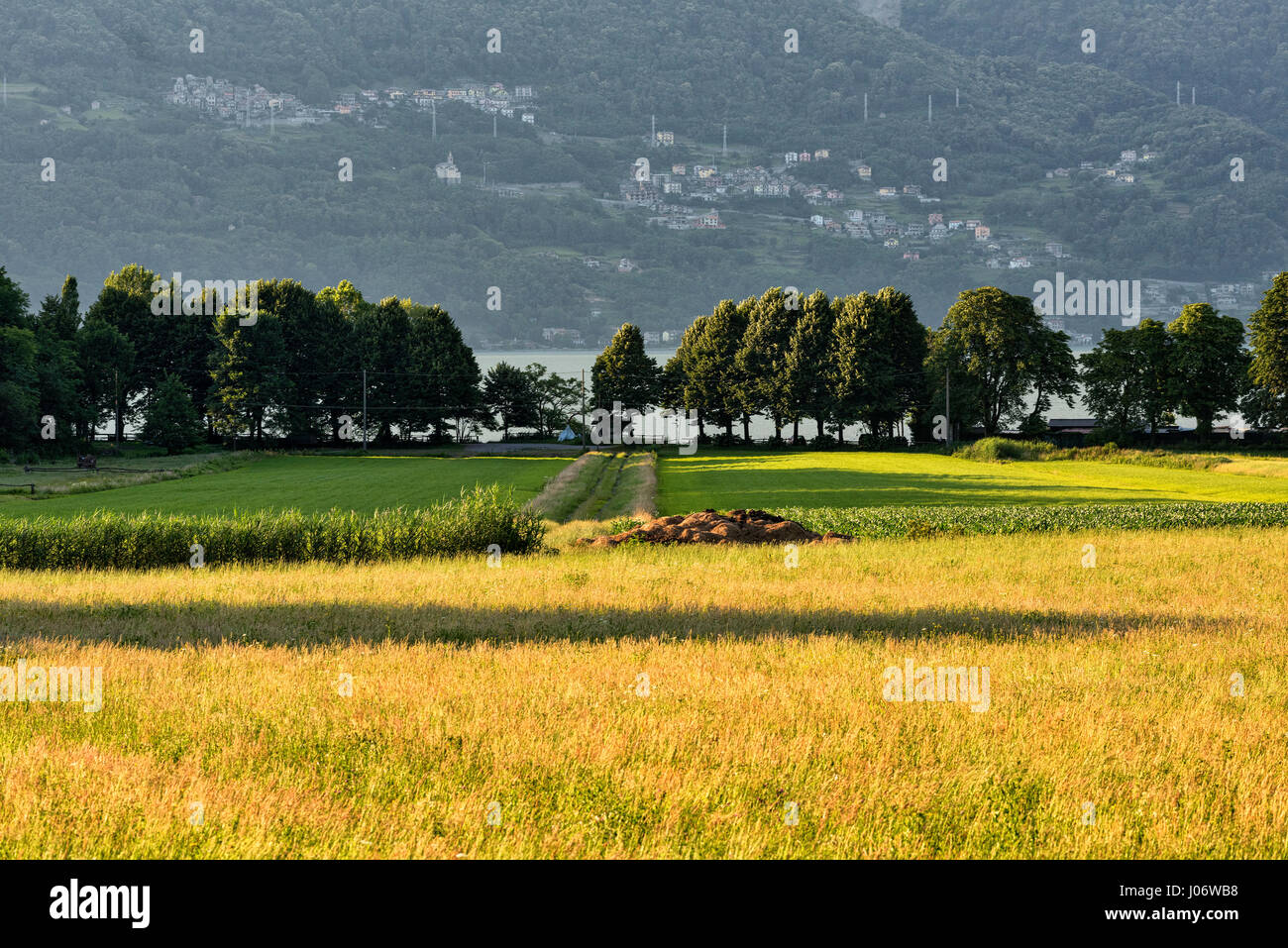 Colico (Lecco, Lombardei, Italien) und der Comer See (Lario) im Sommer Stockfoto