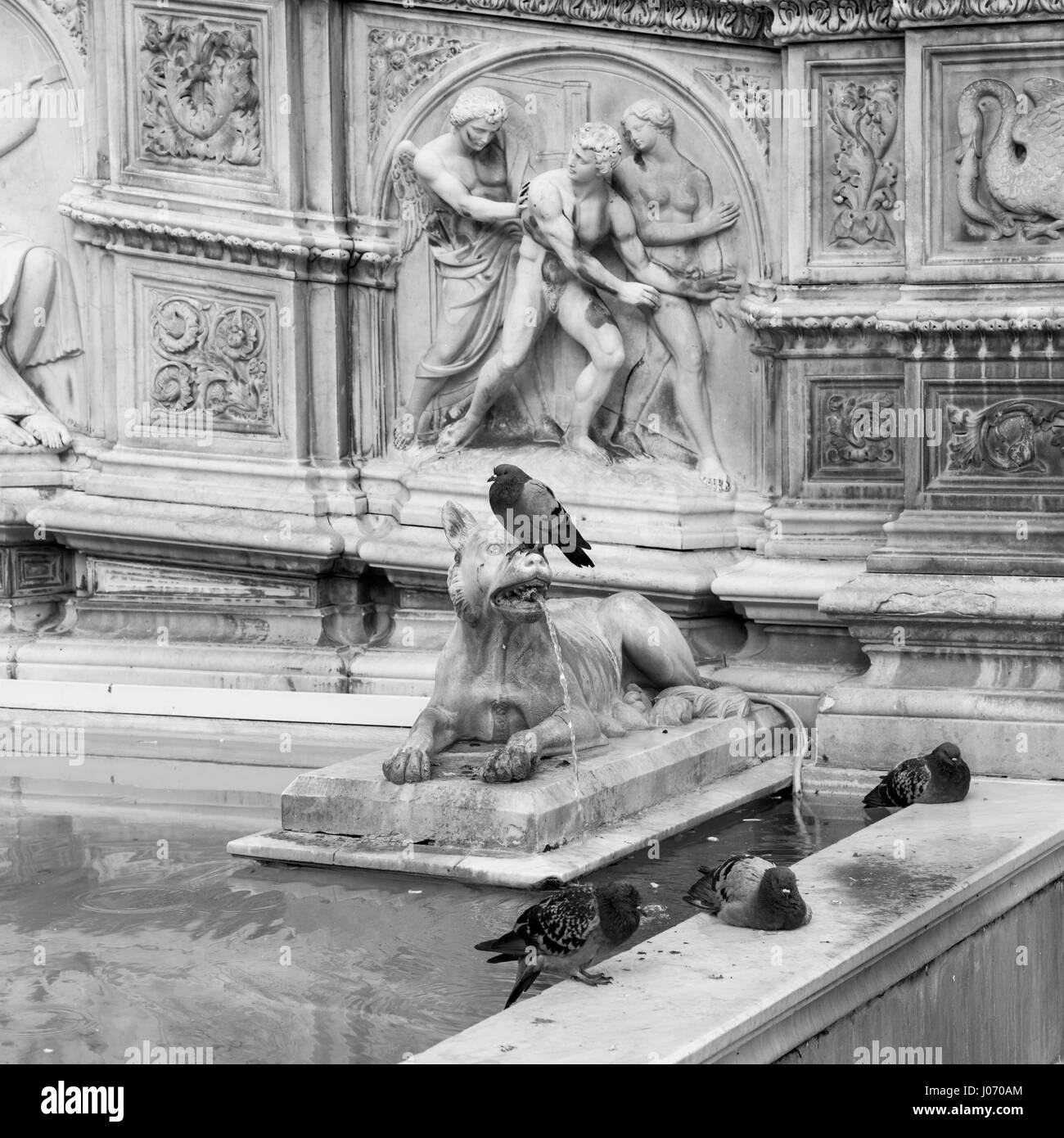 Brunnen am Piazza del Campo in Siena, Toskana, Italien Stockfoto