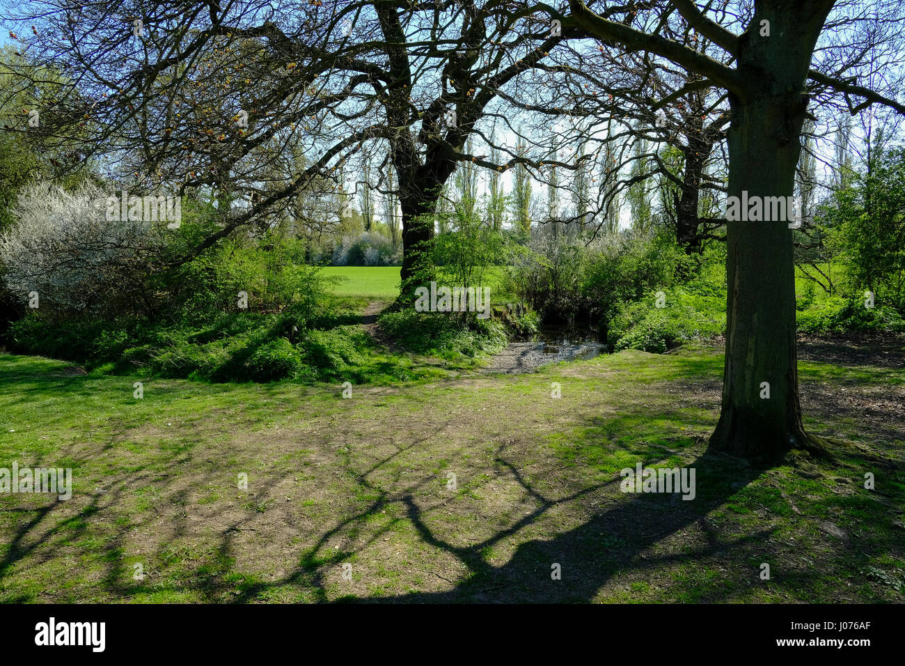 Barnet grüner Raum Stockfoto