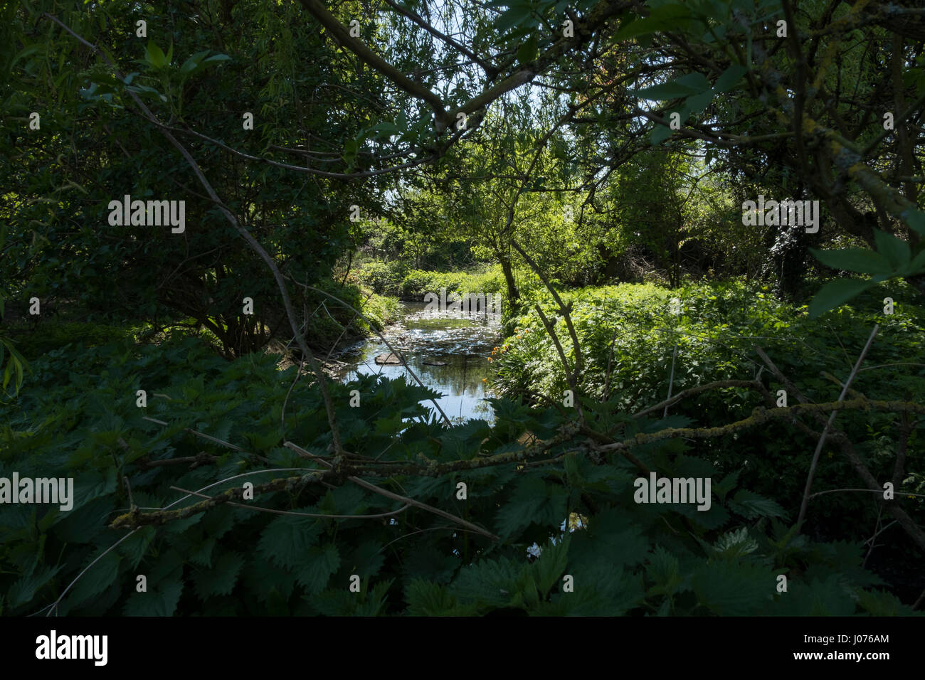 Barnet grüner Raum Stockfoto