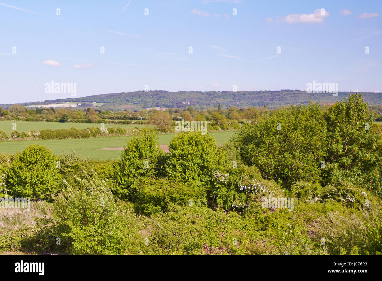 Gesamtansicht der Hampden Felder, die vorgeschlagene Entwicklung vor Ort für 3000 Häuser zwischen Aylesbury und Weston Turville. Stockfoto
