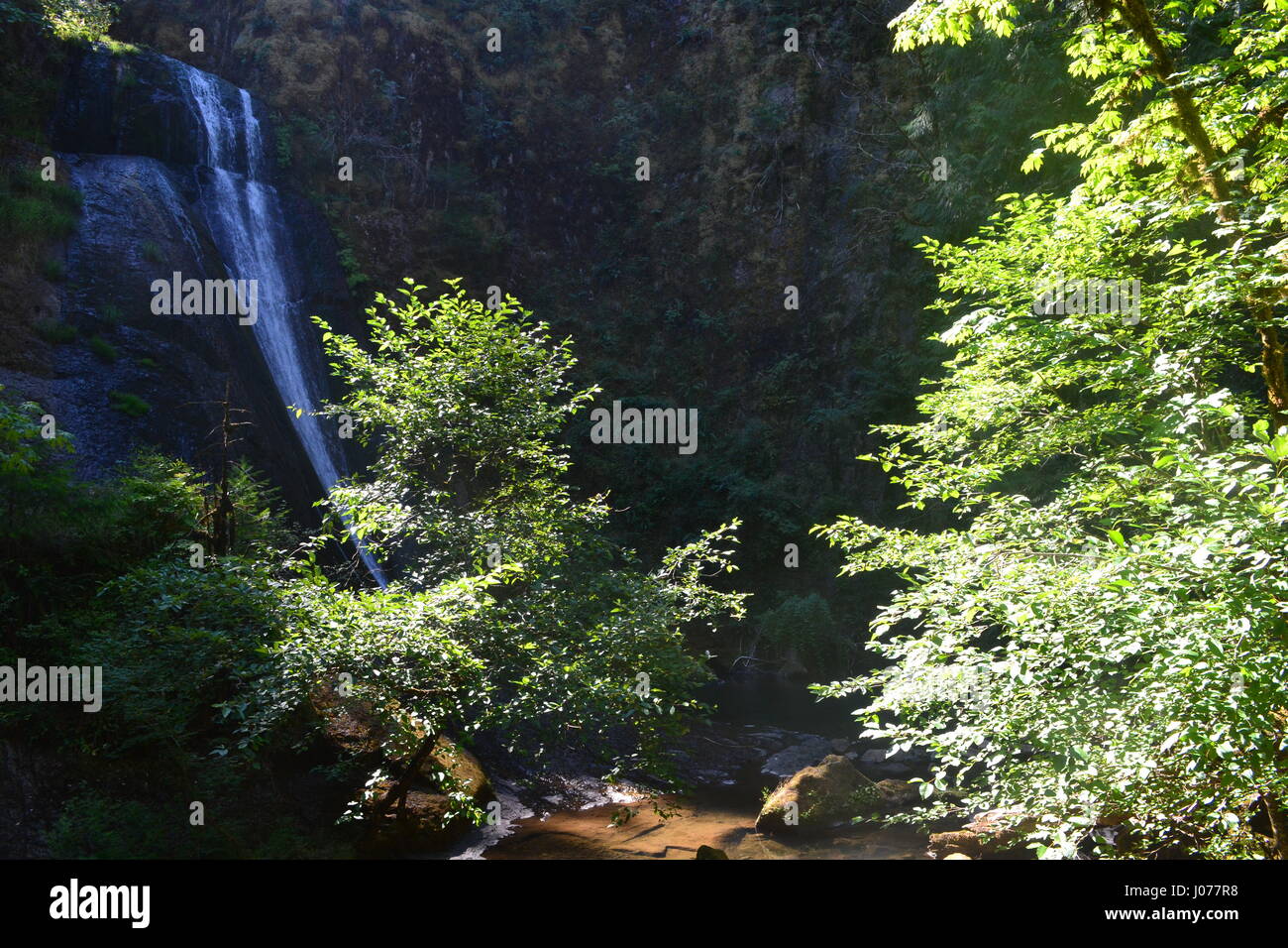 Wasserfall in Oregon Stockfoto
