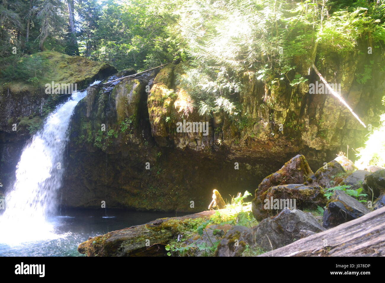 Wasserfall in Mt Saint Helens Volcanic Monument Stockfoto