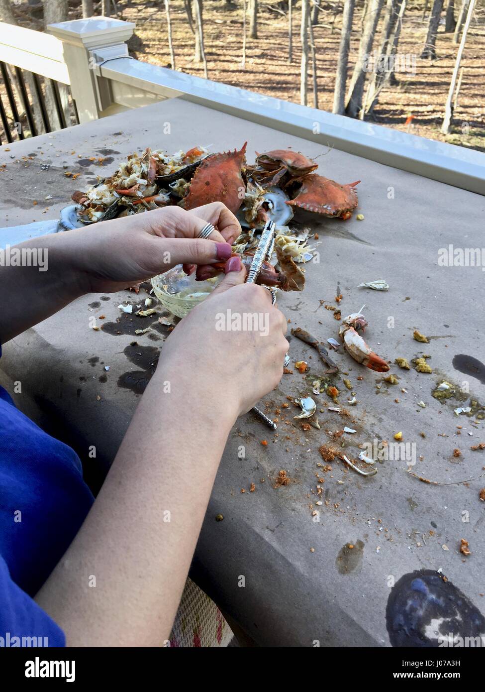 Übrig gebliebene Meeresfrüchte Muscheln nach ein Fest der blauen Krabben und Austern Stockfoto
