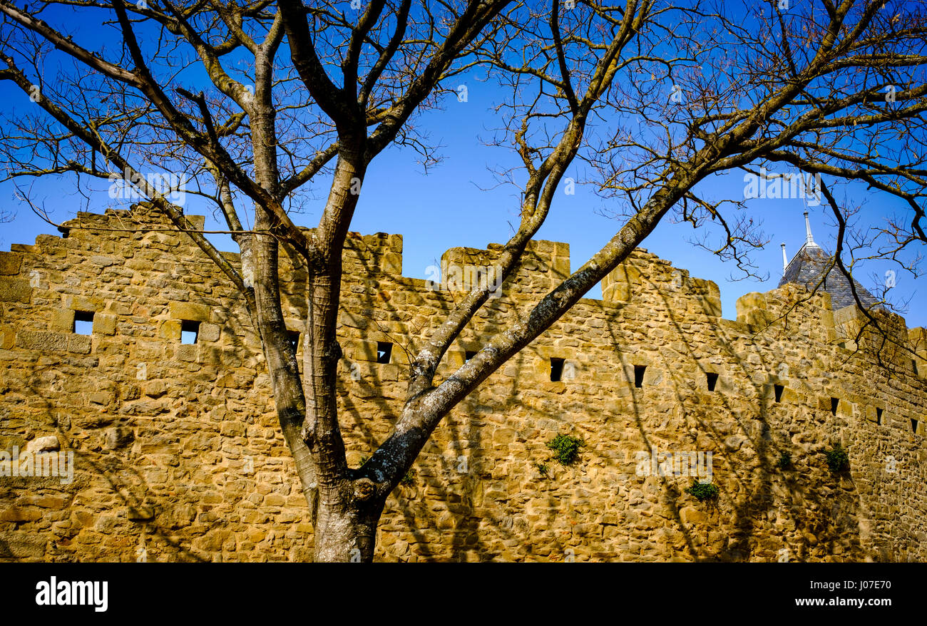 Am frühen Morgen Frühlingssonne Blicke über die Wände des Château Comtal innerhalb der mittelalterlichen Cité de Carcassonne, Frankreich Stockfoto