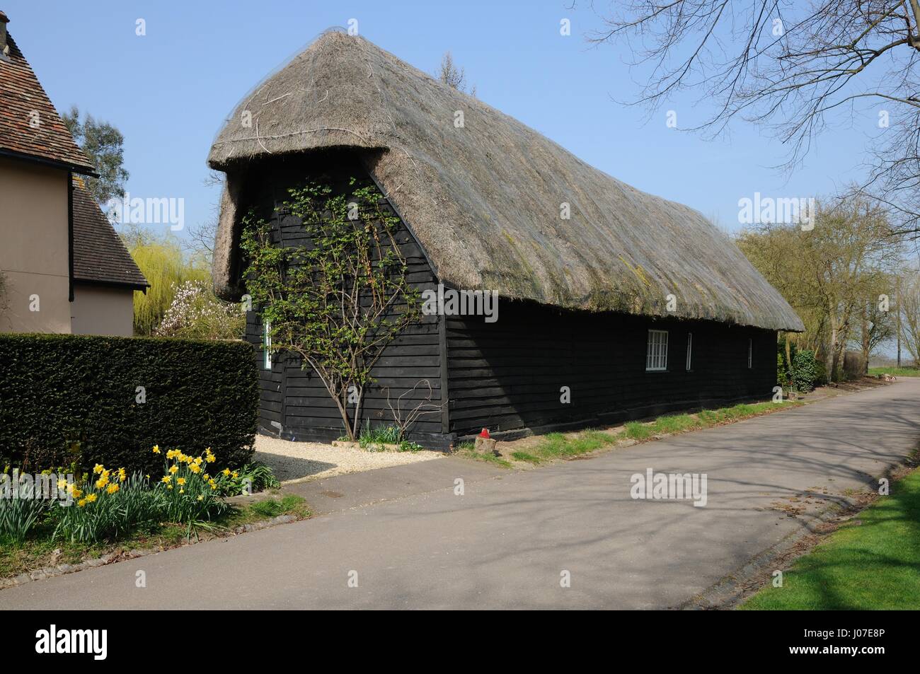 Scheune - Reet mit schwarzen abweisendem, Hinxworth, hertfordshire Stockfoto