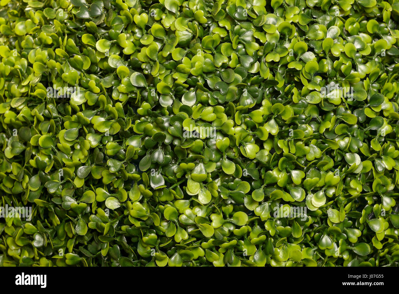 Nahaufnahme von Kunststoff grünes Laub Stockfoto