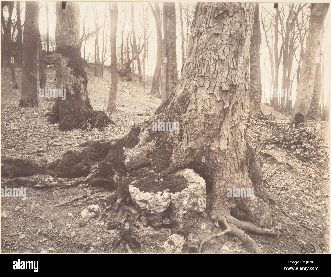 Eugène Atgets Fotografie des Parc de Saint-Cloud in Paris fängt die ruhige Schönheit des Parks während des frühen 20. Jahrhunderts ein und zeigt seine Meisterschaft der Dokumentarfotografie. Stockfoto