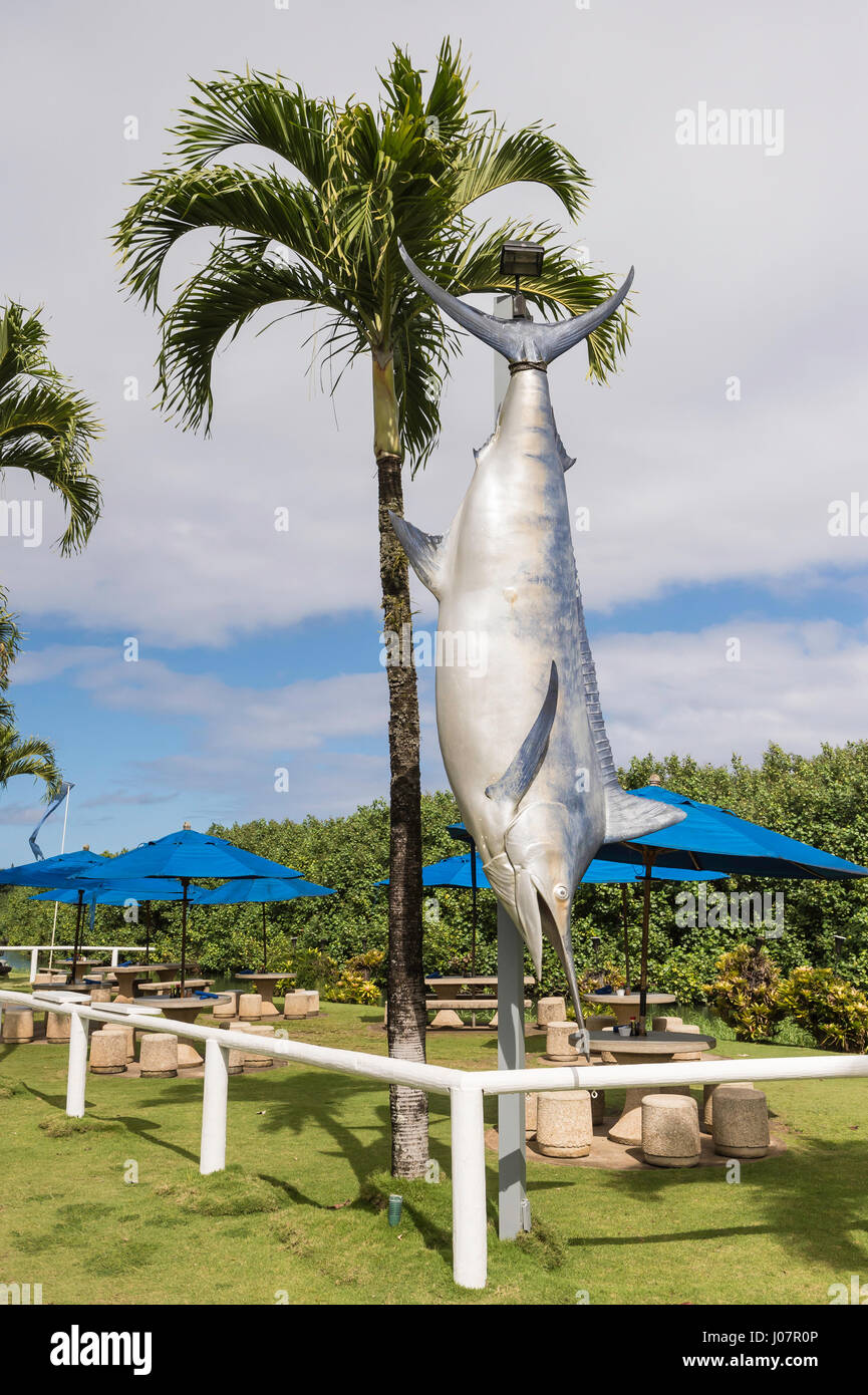 Großes Modell Indo = Pacific Blue Marlin, Hanalei Dolphin Center, Hanalei, Kauai, Hawaii, USA Stockfoto