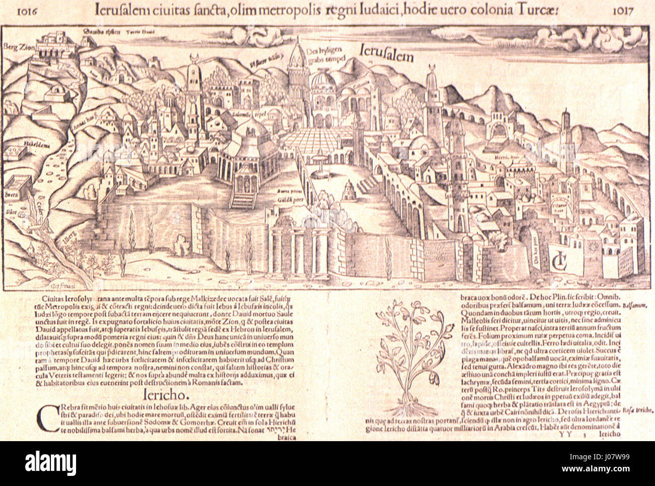 Dieser Holzschnitt von Sebastian Münster aus dem Jahr 1552 zeigt Jerusalem, einst die Hauptstadt des antiken Königreichs Juda und später ein wichtiger Ort in der christlichen, jüdischen und islamischen Geschichte. Sie spiegelt die Stadt als heilige Stätte des 16. Jahrhunderts wider. Stockfoto
