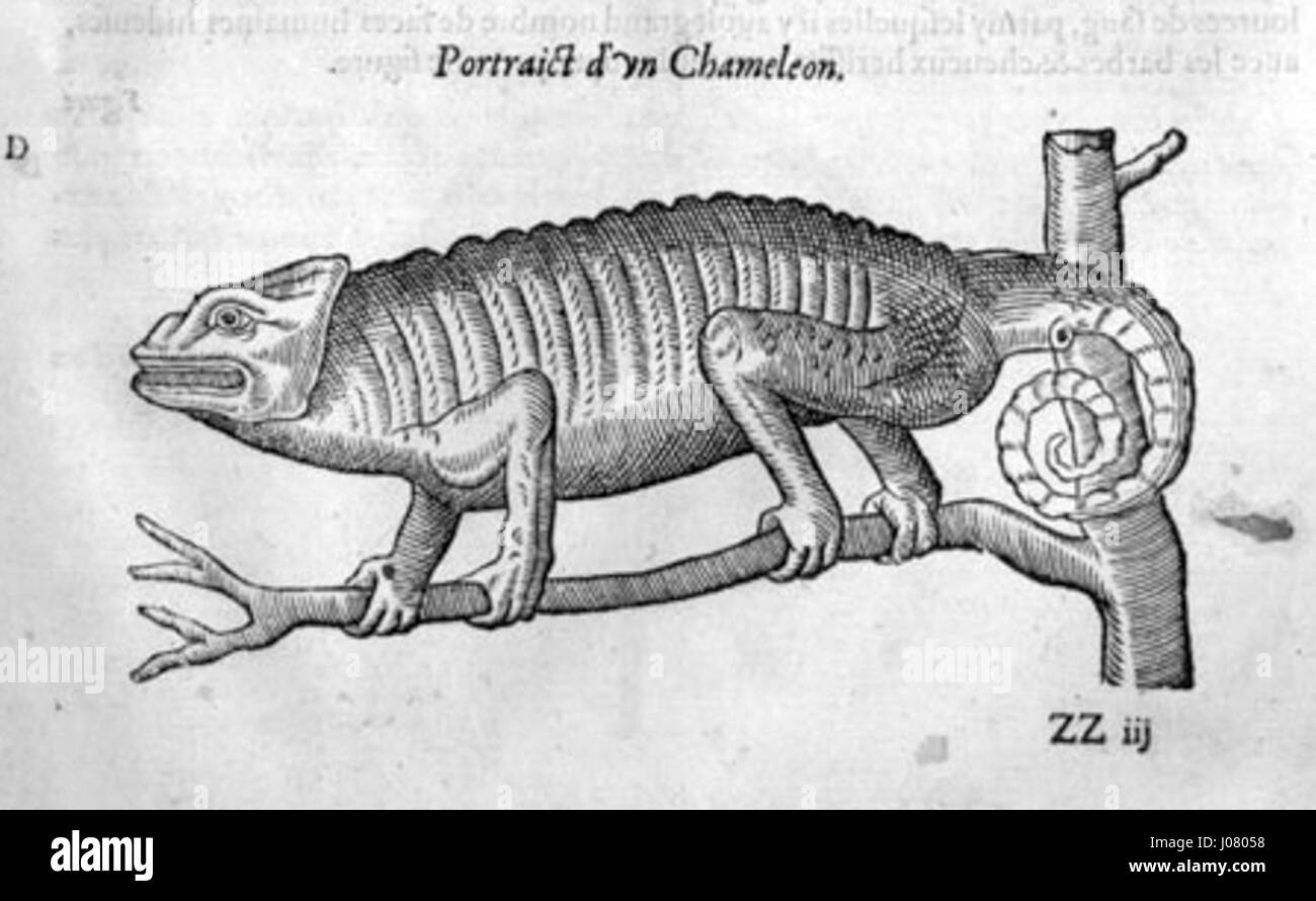 „Pare Chamäleon“ ist ein lebendiges, dynamisches Gemälde, das die lebendigen Farben und Bewegungen eines Chamäleons darstellt. Das Kunstwerk unterstreicht die einzigartige Natur dieses Reptils und zeigt sein markantes Aussehen und seine Anpassungsfähigkeit an seine Umgebung. Stockfoto