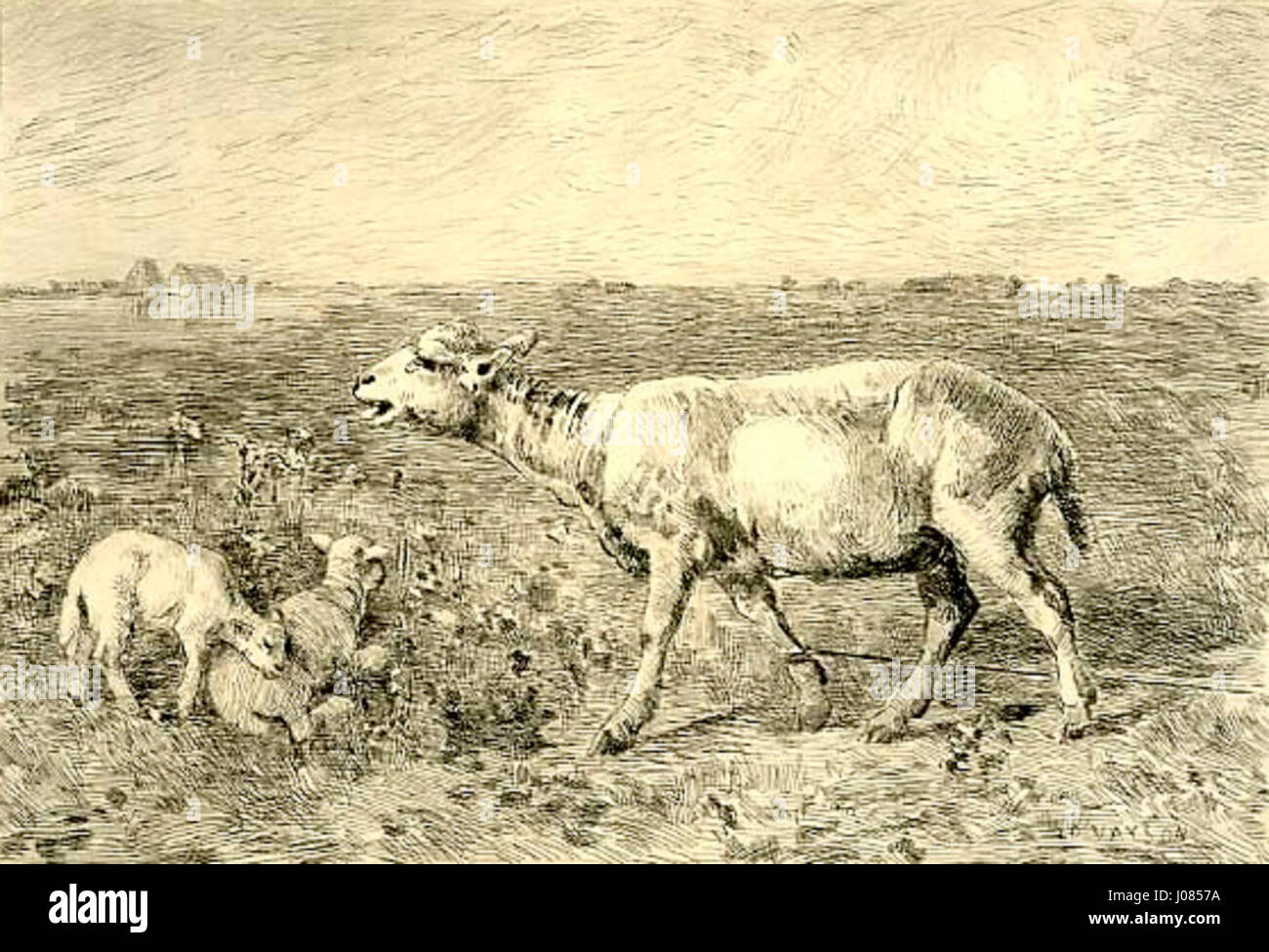 Paul Vaysons „Brebis dans la lande“ ist eine Ätzung, die Schafe in der Heide darstellt. Der Druck veranschaulicht Vaysons Geschick, das ländliche Leben und natürliche Szenen mit komplizierten Details festzuhalten. Stockfoto