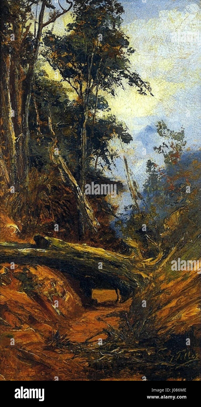 „Tronco caído“ von Telles Júnior zeigt einen gefallenen Baumstamm, ein Motiv, das die Vergänglichkeit der Natur betont. Das Gemälde fängt die detaillierte Textur der Baumoberfläche und der umliegenden natürlichen Elemente ein und vermittelt ein Gefühl von Zeit und Verfall in der natürlichen Welt. Stockfoto