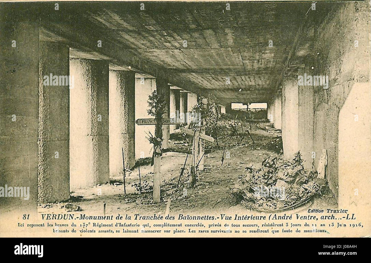 Das „Monument-tranchées-Verdun“ erinnert an die Opfer, die während der Schlacht von Verdun gebracht wurden, und zeigt die Gräben und die tragischen Verluste an Menschenleben während dieser entscheidenden Schlacht im Ersten Weltkrieg. Stockfoto