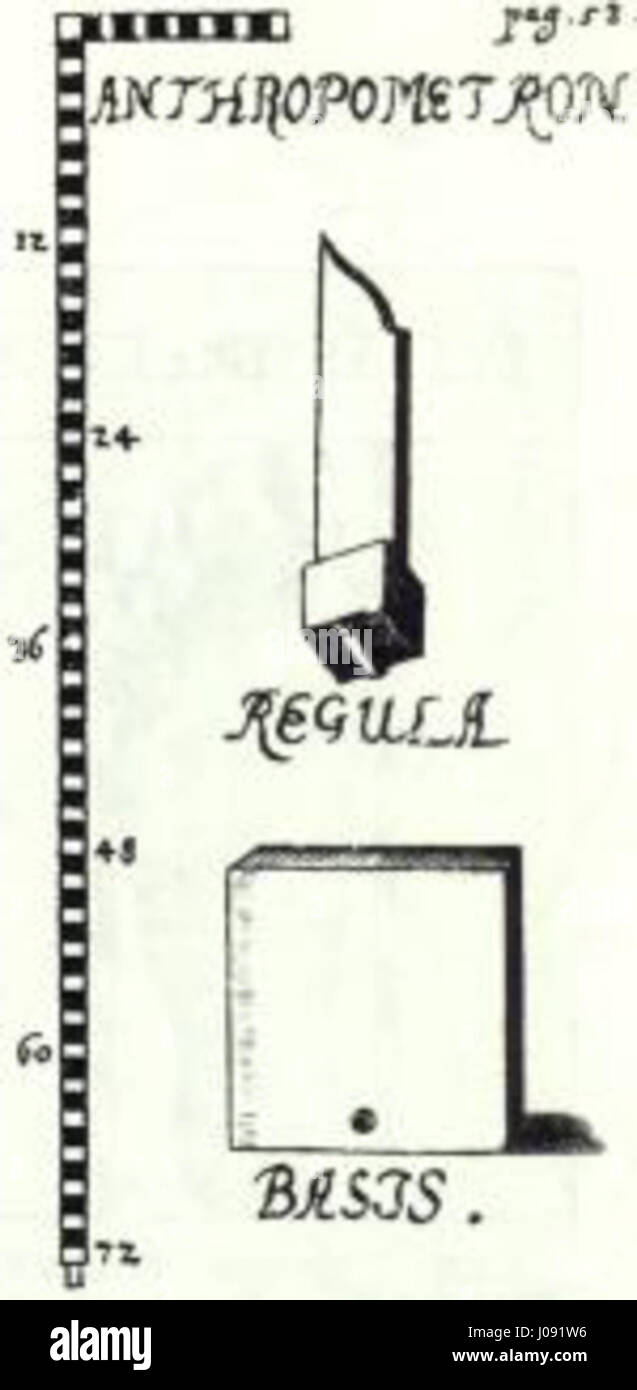'Anthropometron' von Elgholtz aus dem Jahr 1654 präsentiert eine Studie der menschlichen Proportionen und Anatomie. Das Stück spiegelt frühes wissenschaftliches Interesse an der menschlichen Messung und der Entwicklung anthropometrischer Werkzeuge während der Renaissance wider. Stockfoto