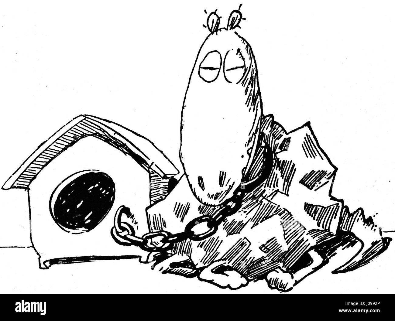 Varning för Urhunden ist eine schwedische künstlerische Darstellung, die einen humorvollen, aber aufschlussreichen sozialen Kommentar trägt. Das Kunstwerk stellt den alten Hund als Metapher für die ältere Generation der Gesellschaft dar und lenkt die Aufmerksamkeit auf Fragen des Alters und der Weisheit. Stockfoto