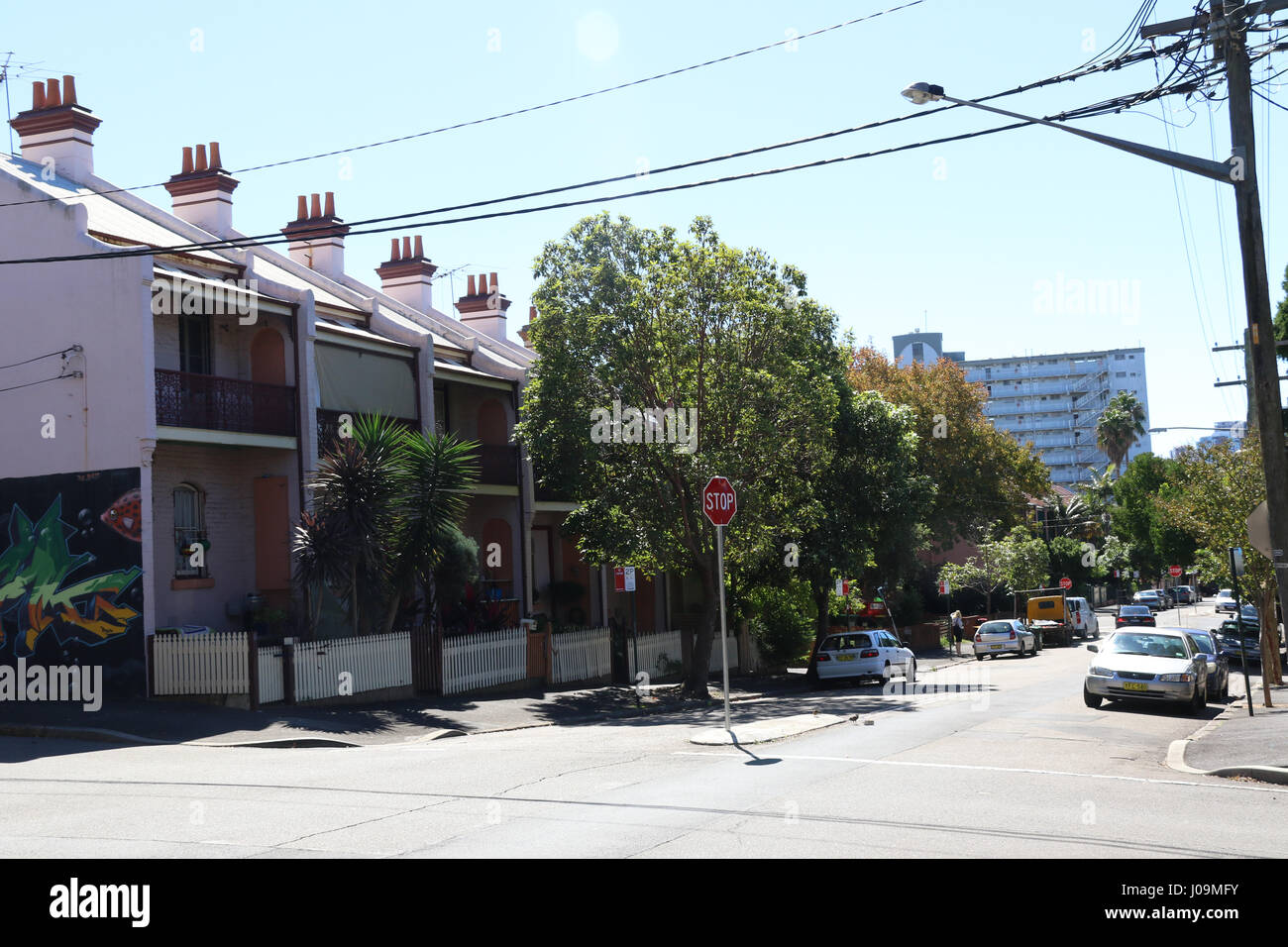 Reihenhäuser in der Mitchell Street in Glebe, Inner-West, Sydney, Australien Stockfoto