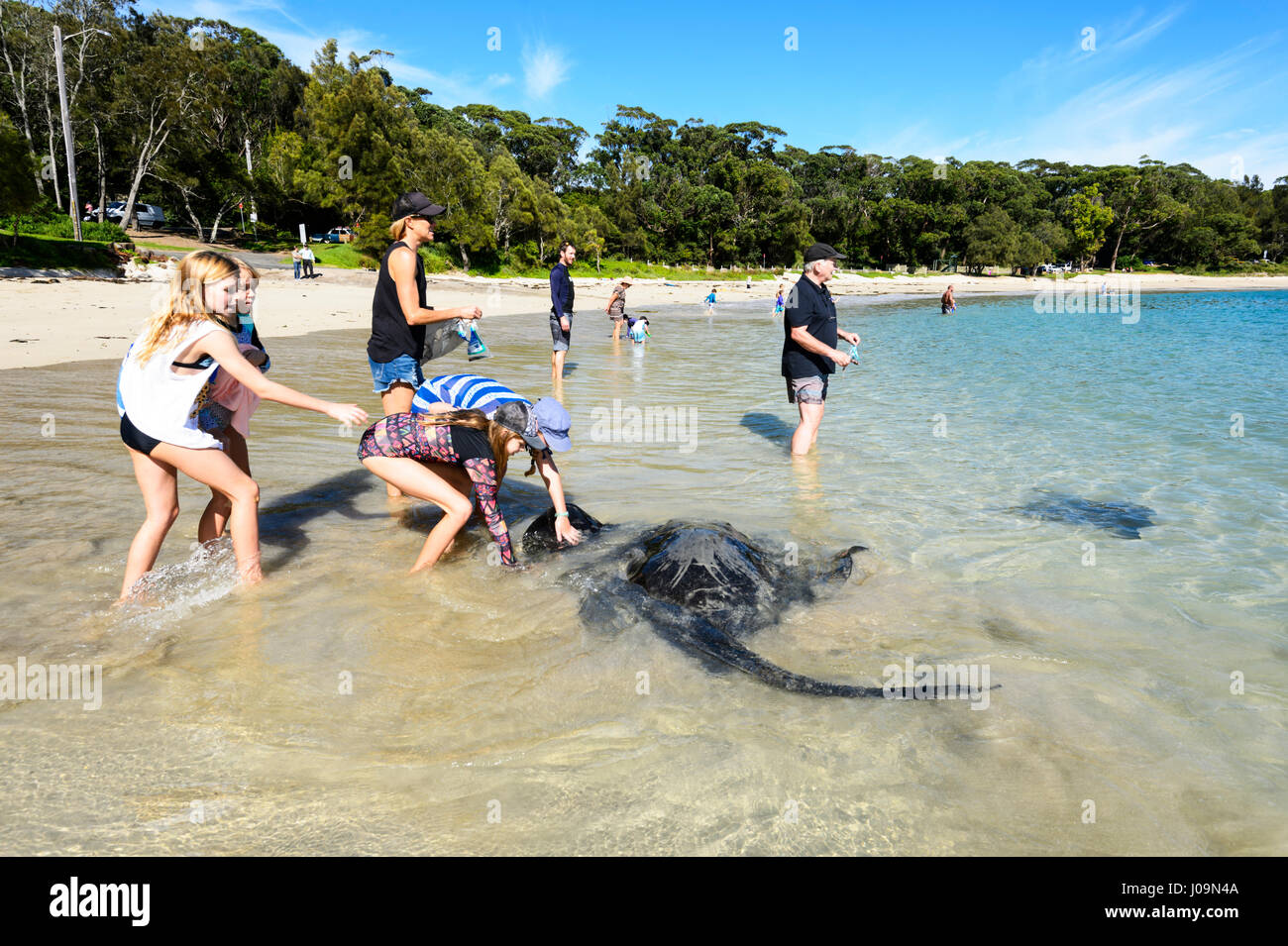 Menschen Fressen Riesige Stachelrochen In Die Waschfrau Beach 