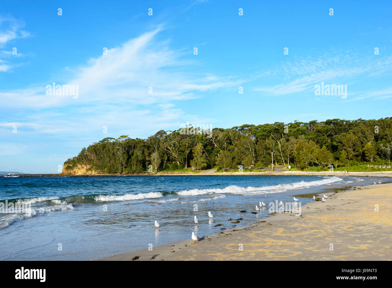Die Waschfrau, Bendalong Strand, Shoalhaven, Südküste, New South Wales, NSW, Australien Stockfoto