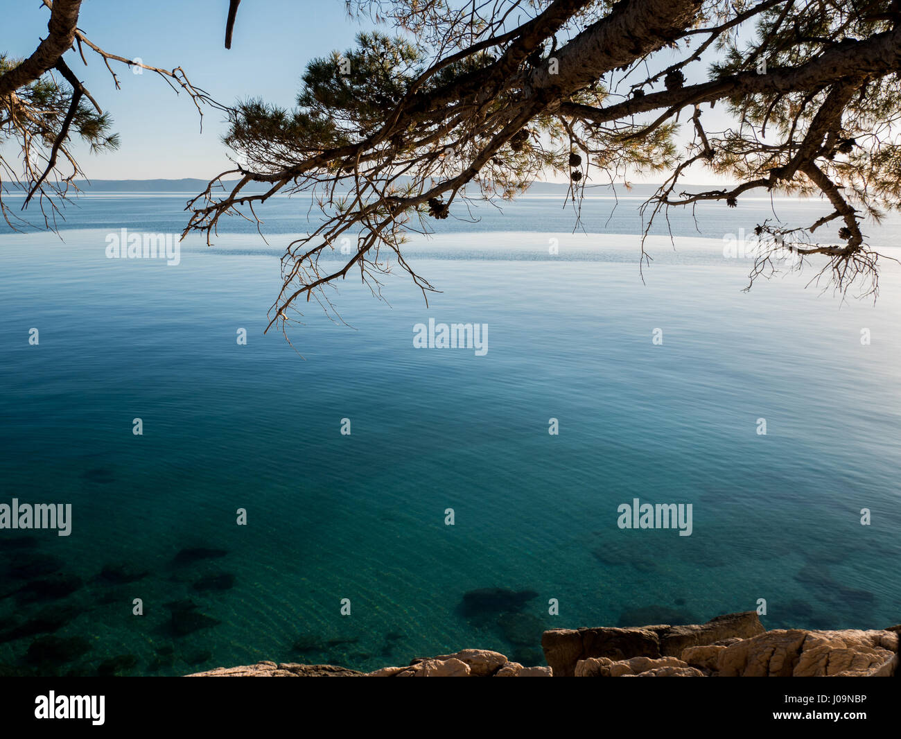 Felsige Küste und das türkisblaue Meer an der Adriaküste in Kroatien Stockfoto