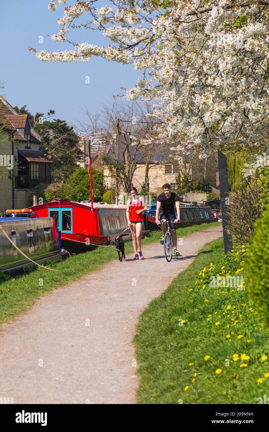 Junger Mann Reiten Fahrrad mit junge Frau zu Fuß Hund Weg von Kennet & Avon Canal bei Bradford on Avon, Wiltshire im April Stockfoto