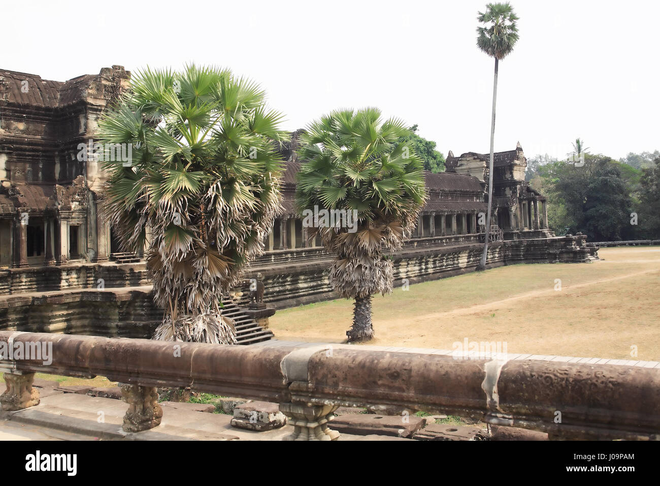 Die Ruinen der Tempel von Angkor Wat in Kambodscha Stockfoto