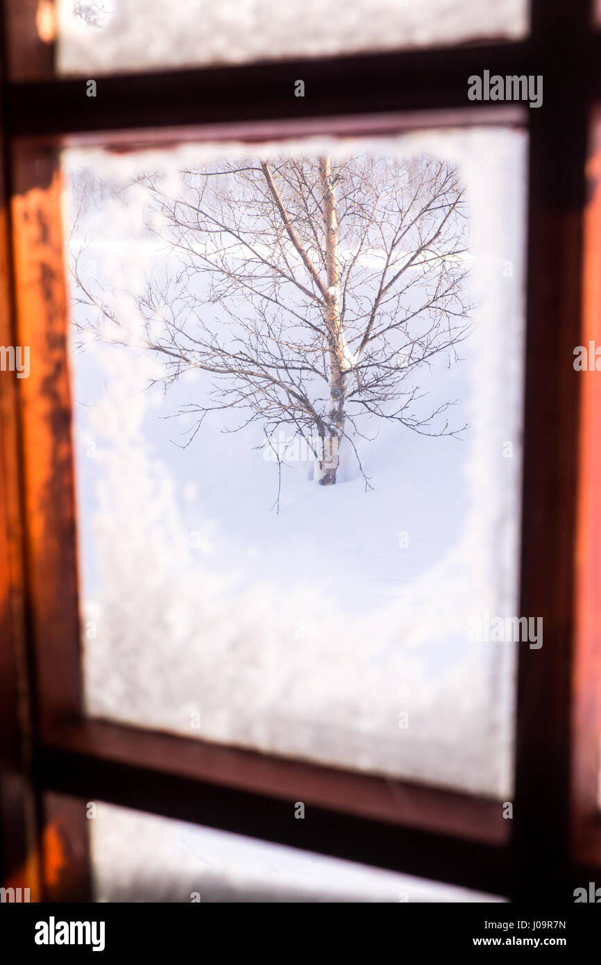 Blick aus dem Fenster einer norwegischen Hütte im Winter, Bäume und Schnee draußen Stockfoto