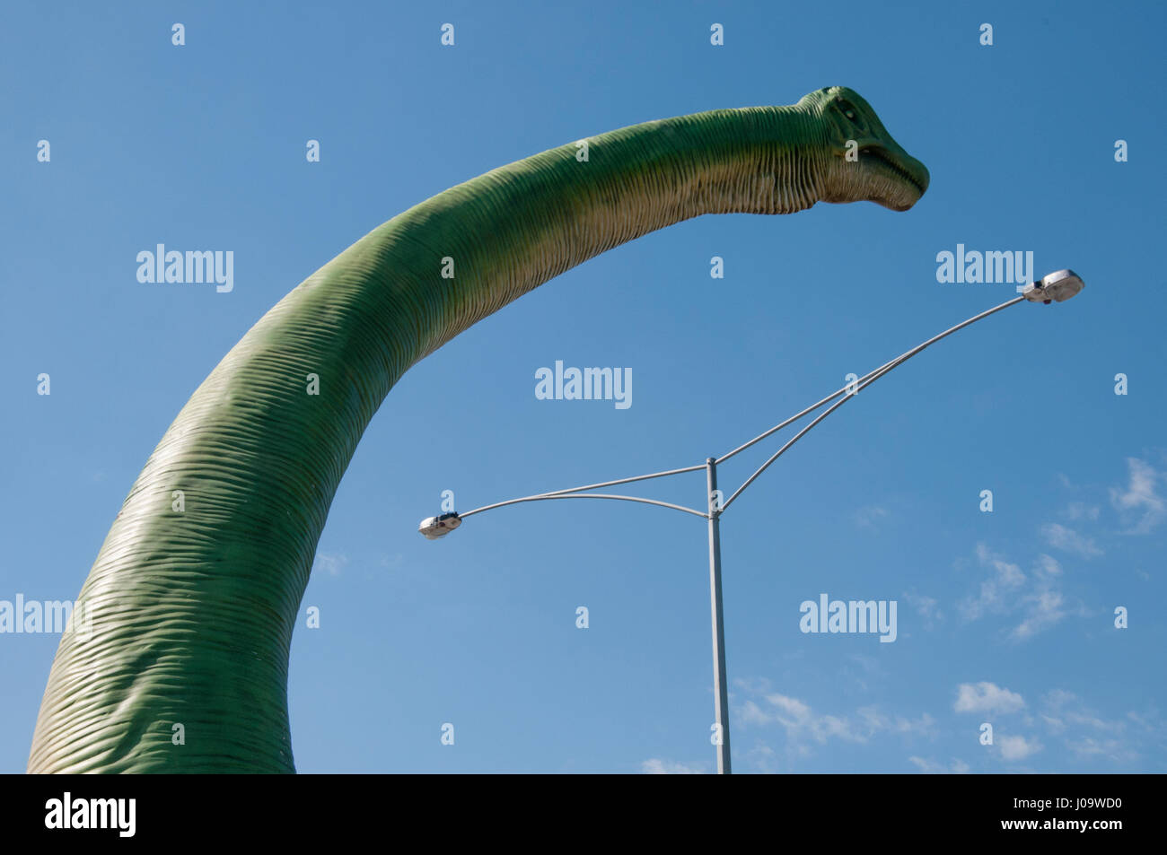 Lebensgroße Dinosaurier Replikate stellen Kunden in einer Gärtnerei in einem Vorort von Melbourne, Australien Stockfoto
