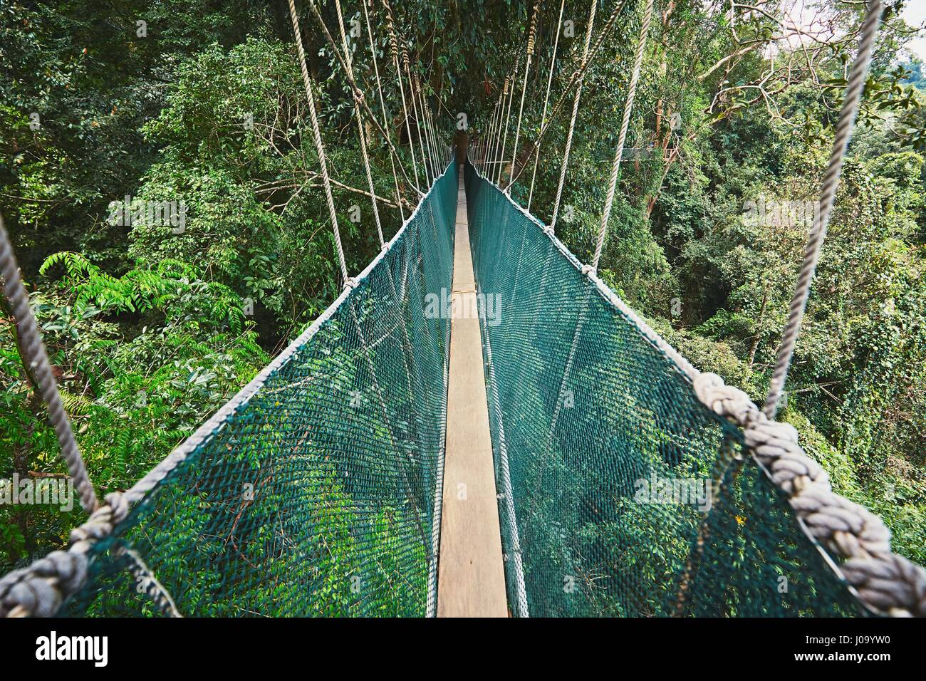 Lange erhöhten Laufsteg durch die Baumkronen im Regenwald - Borneo, Malaysia Stockfoto