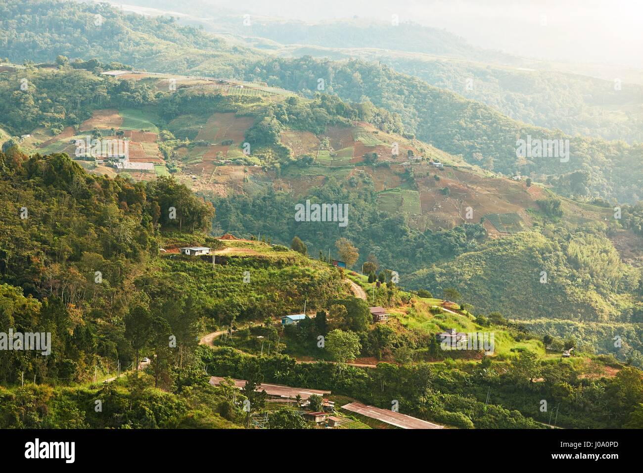 Landschaft mit terrassenförmig angelegten Feldern. Hügelige Landschaft von Borneo in Malaysia. Stockfoto
