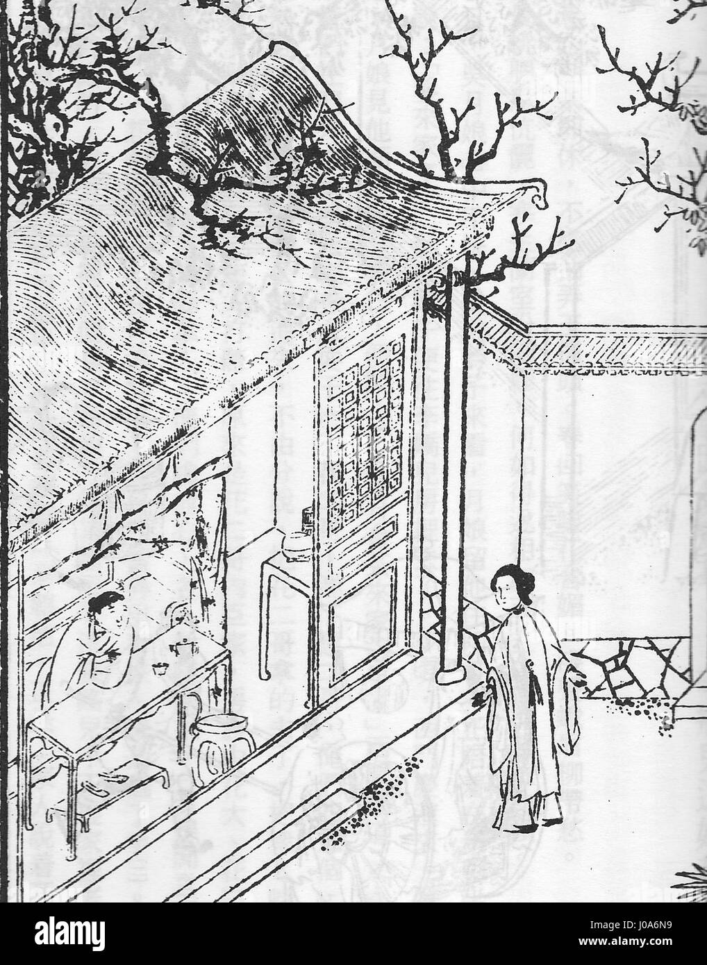 Dieser Titel bezieht sich auf die digitale Innovation und ihre Auswirkungen auf die Zukunft. Sie untersucht, wie die digitale Technologie die moderne Gesellschaft prägt und zukünftige Entwicklungen beeinflusst. Stockfoto