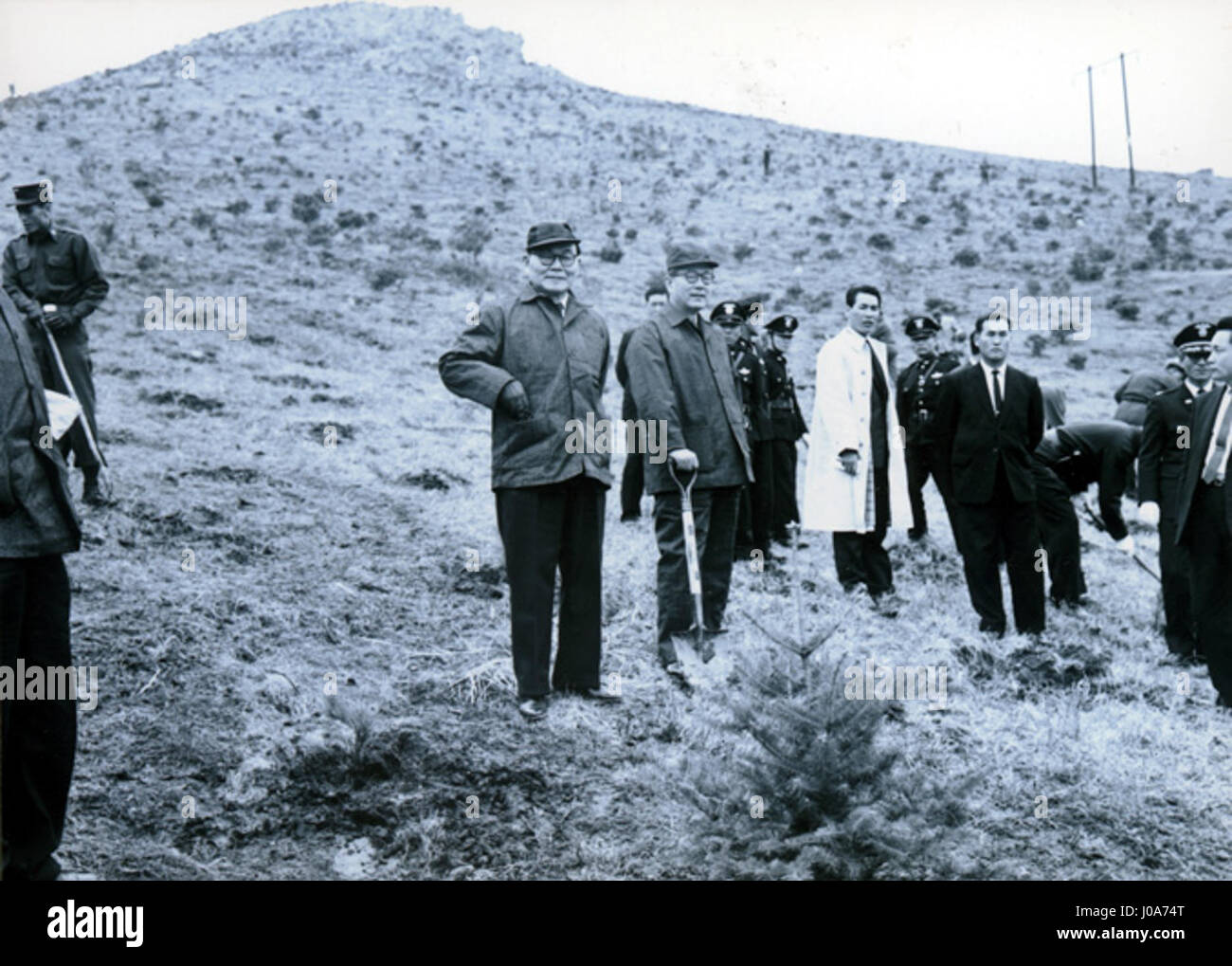 Dieser Titel stellt ein Kunstwerk mit asiatischem Einfluss dar, das eine unverwechselbare Kombination von Farben und Mustern aufweist. Sie reflektiert Elemente ostasiatischer Kunsttraditionen und bezieht möglicherweise Motive oder Themen mit ein, die mit der chinesischen oder koreanischen Kultur verbunden sind. Das Stück zeigt eine Balance aus Harmonie und Detail, die für den künstlerischen Stil der Region charakteristisch ist. Stockfoto