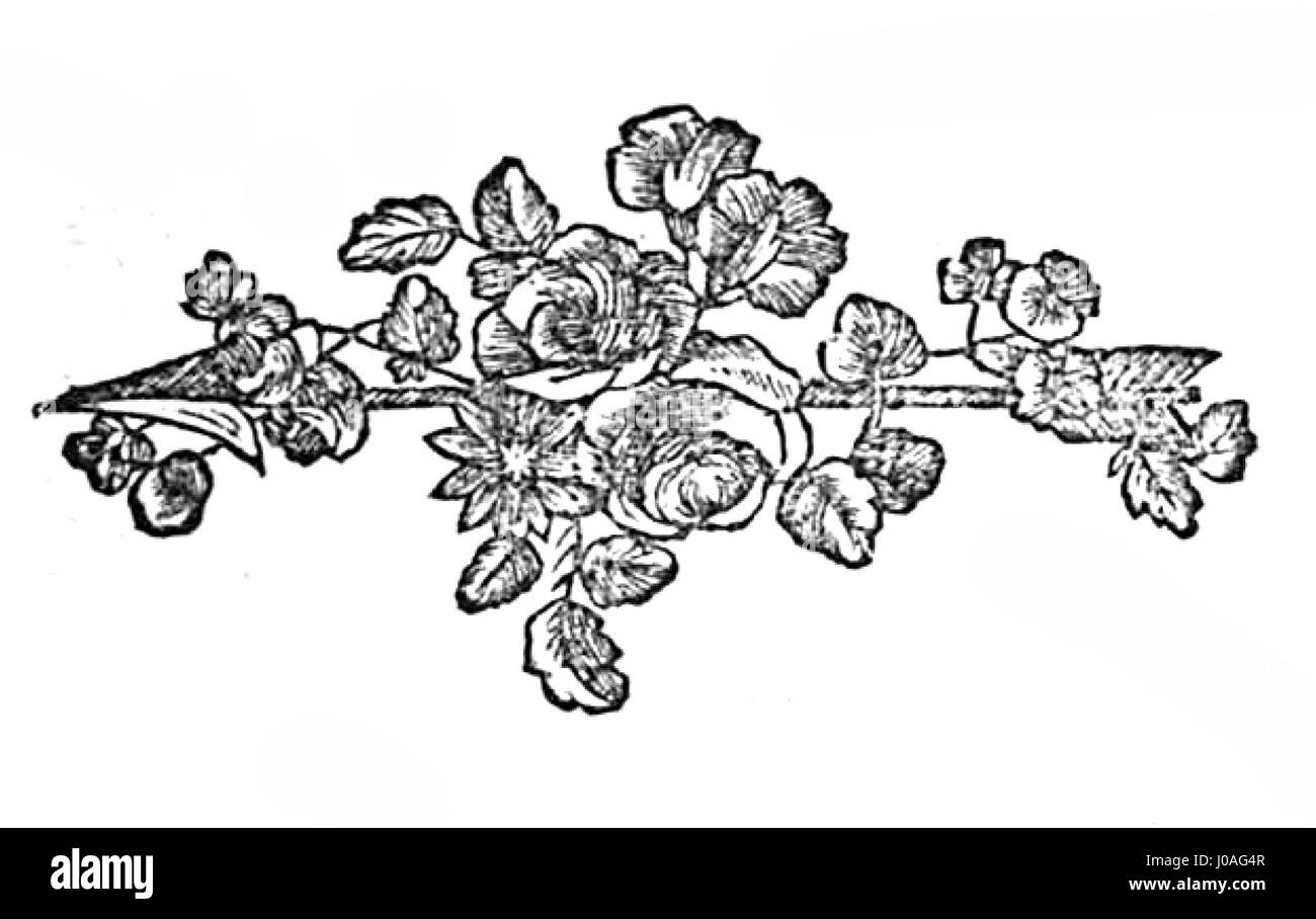 Die *Encyclopédie méthodique - Amusements* veranschaulicht die verschiedenen Formen der Unterhaltung im Frankreich des 18. Jahrhunderts. Die Illustration zeigt Spiele, Darbietungen und Freizeitaktivitäten, die in dieser Zeit populär waren, und bietet einen Einblick in das soziale Leben in Frankreich. Stockfoto