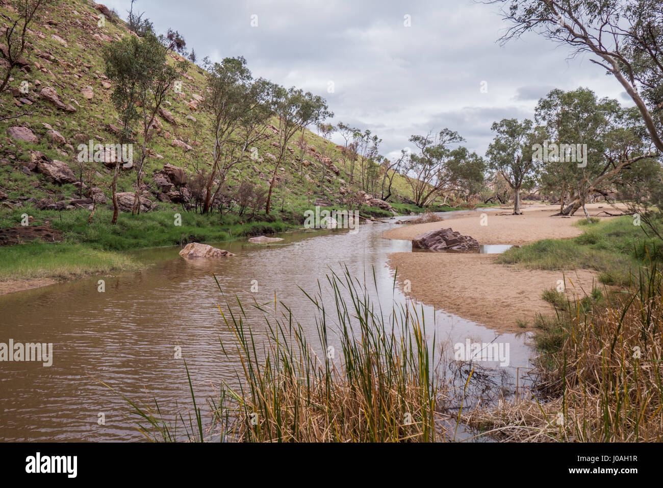 Alice Springs Simpsons Gap Northern Territory Stockfoto