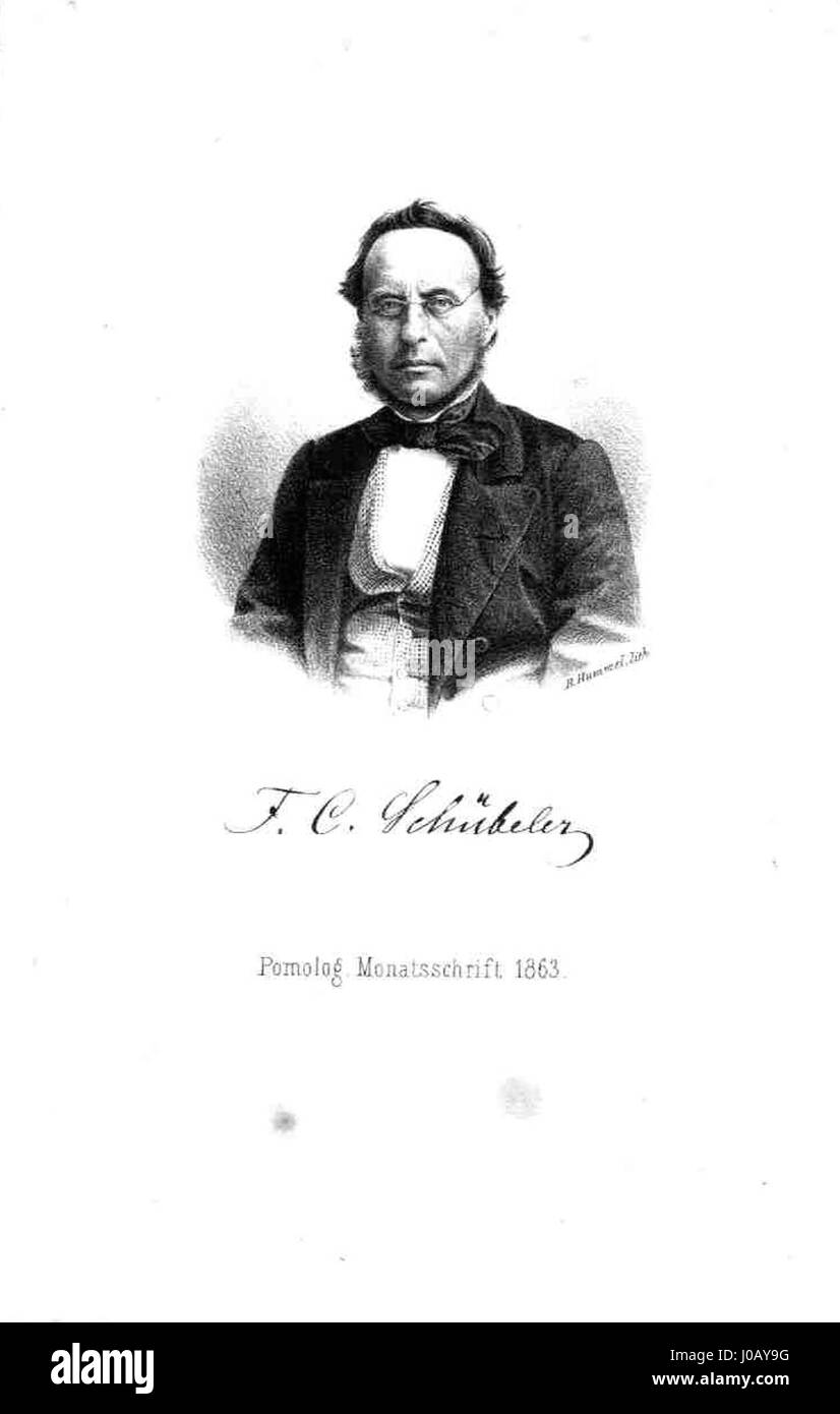 Das Porträt Schübelers von 1863 eines unbekannten Künstlers zeigt komplexe Details und zeigt eine raffinierte Darstellung des Themas, die den Kunststil der Mitte des 19. Jahrhunderts widerspiegelt. Stockfoto