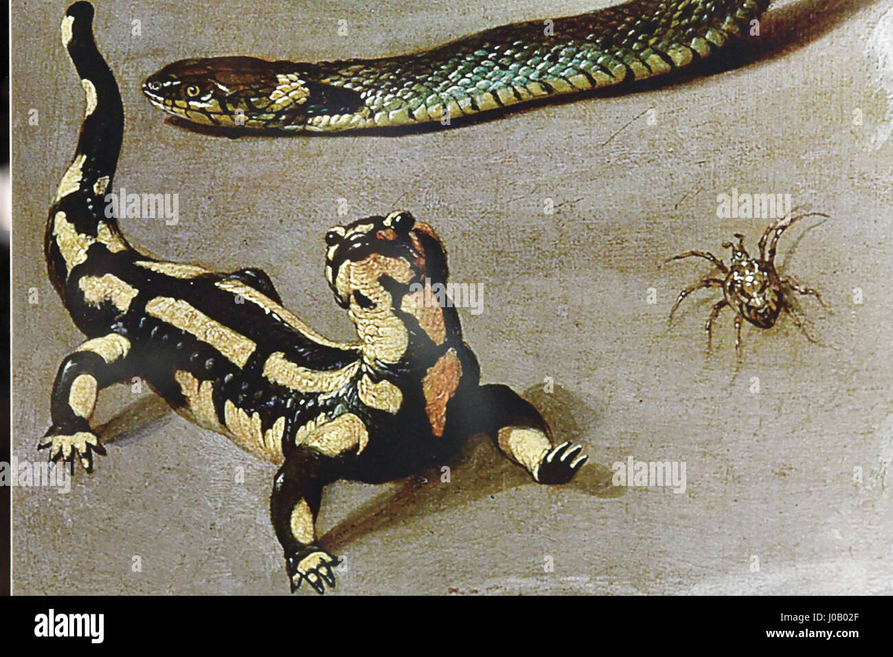 Der Gasometer in Oberhausen zeigt „der schöne Schein – der Kopf der Medusa“, ein Ausstellungsstück, das von Rubens' Darstellung des Kopfes der Medusa inspiriert ist. Die Ausstellung kombiniert moderne Technologie mit klassischer Kunst und erkundet die mythologischen und künstlerischen Themen von Rubens' ikonischem Werk. Stockfoto