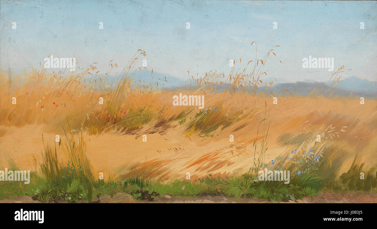 Josef Wopfners „Kornfeld Ölstudie“ ist eine Studie über Öl eines Getreidefeldes, die den Fokus des Künstlers auf die Texturen und das natürliche Licht in der ländlichen Landschaft zeigt. Wopfners Technik fängt die detaillierten Pinselarbeiten und atmosphärischen Effekte ein, die für sein Werk des frühen 20. Jahrhunderts charakteristisch sind. Stockfoto
