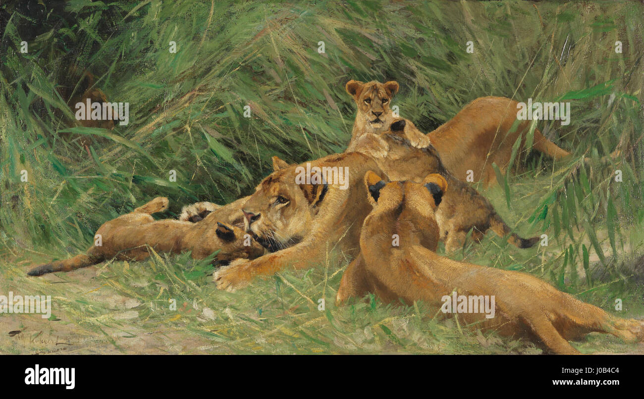 Wilhelm Kuhnerts Gemälde „Spielende Löwen“ zeigt eine Gruppe verspielter Löwen in ihrem natürlichen Lebensraum. Die Arbeit spiegelt Kuhnerts Talent in der Erfassung von Wildtieren wider und zeigt das energetische und natürliche Verhalten der Tiere auf lebendige, realistische Weise. Stockfoto