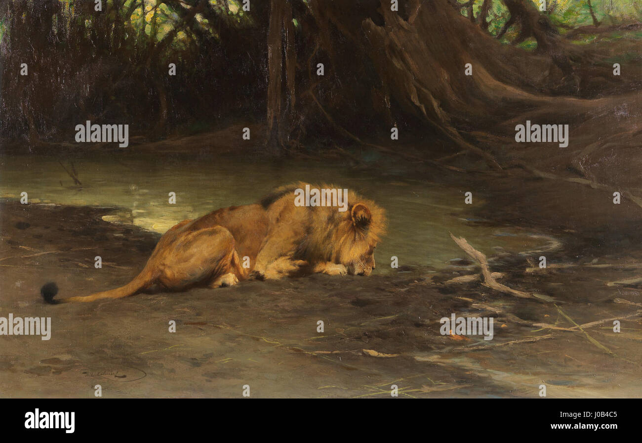 Wilhelm Kuhnerts „Lӧwe an der Tränke“ zeigt einen majestätischen Löwen in einer natürlichen Umgebung. Das Gemälde fängt die Kraft und Anmut des Löwen ein und betont die Rolle des Tieres in der Wildnis und seine Verbindung zu Wasserquellen in seiner Umgebung. Stockfoto