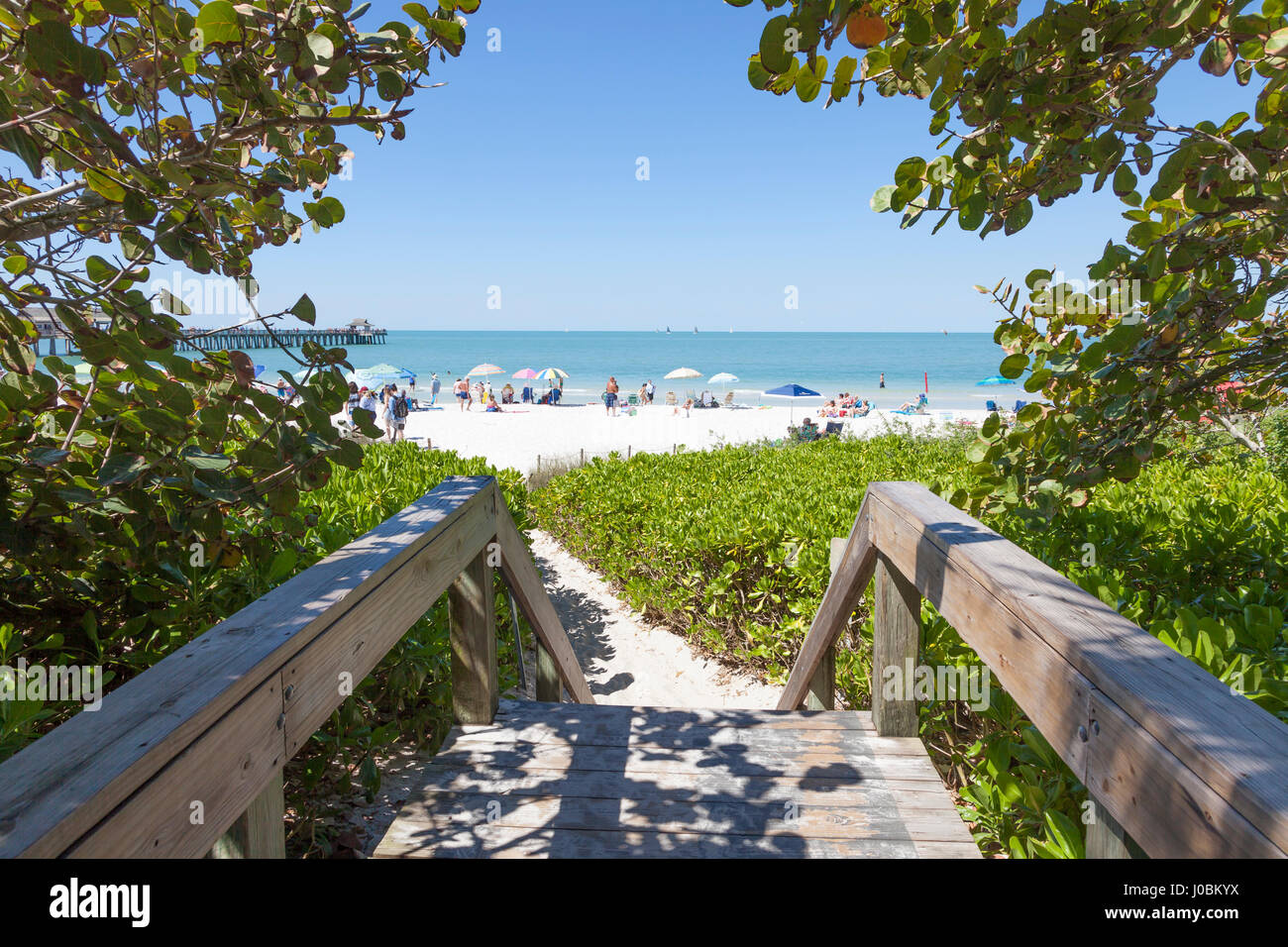 Frauen suchen männer naples fl